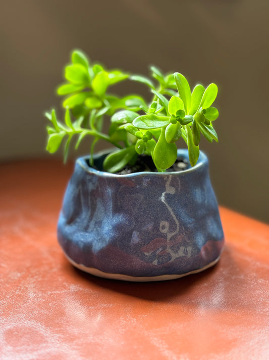 Planter in Nassau Blue